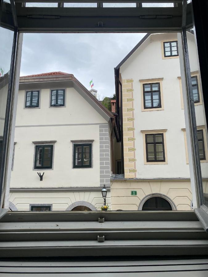 Vintage Charm Apartment Laibach Exterior foto